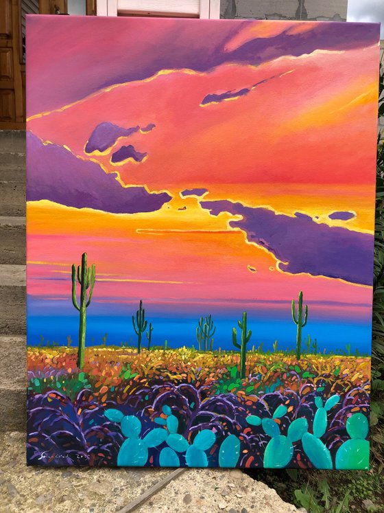 Warm sunset in desert