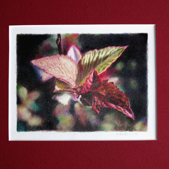 Leaves barely hatched #2 Realistic fine art Still life drawing Ideal gift deco design Christmas