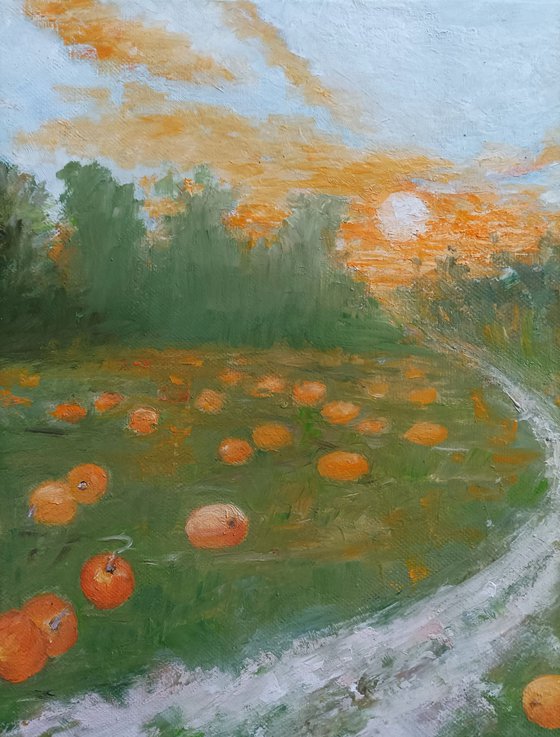 Path through the pumpkin field