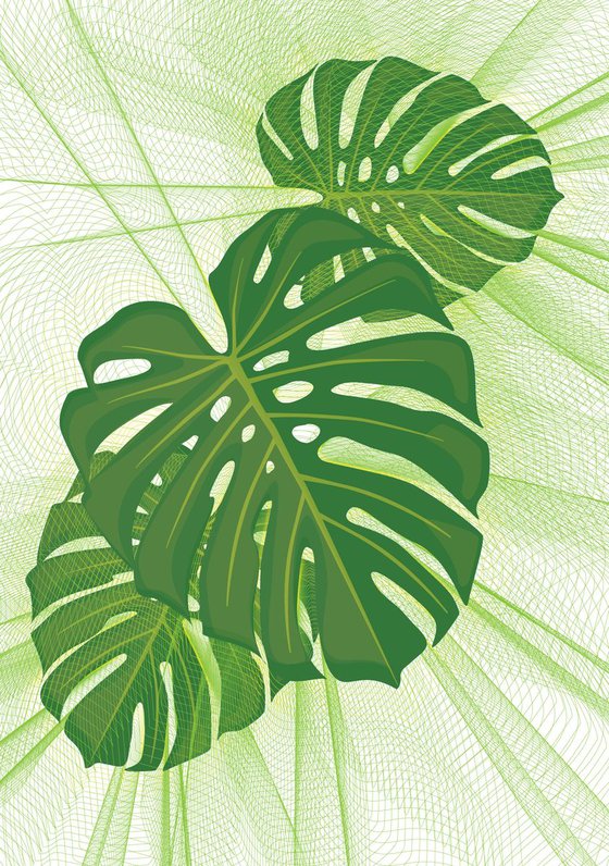 The Digital Monstera Deliciosa