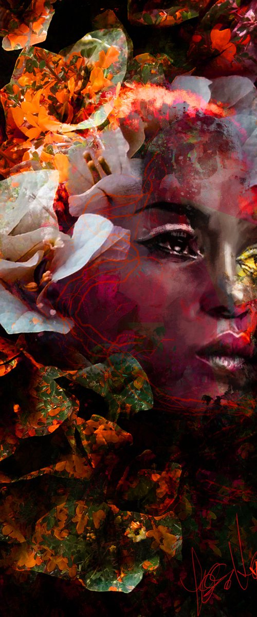 miss orange by Yossi Kotler