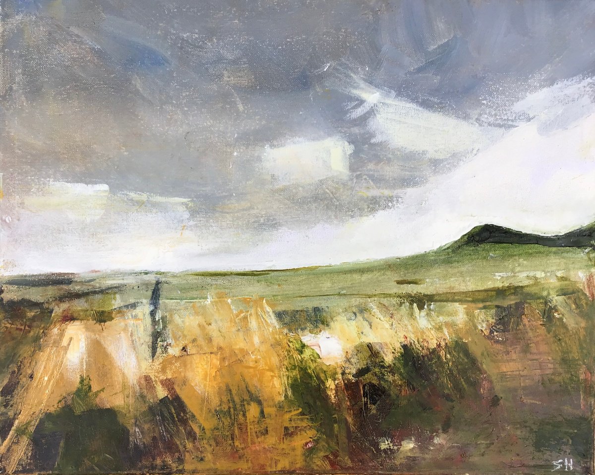 Organic Landscape Oil Painting By Sandra Haney, 20 X 16", Coastal Path 2, Original Artwork