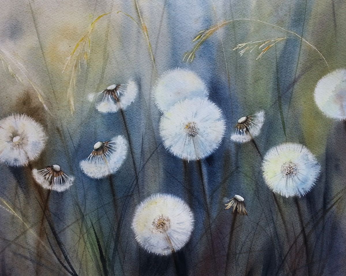 Sea of Hidden Wishes - Dandelions - Blowballs - Dandelion clock - Dandelion - Watercolor by Olga Beliaeva Watercolour