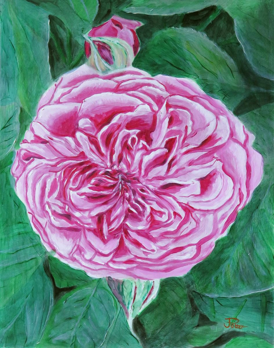 Gertrude Jekyll by James Potter
