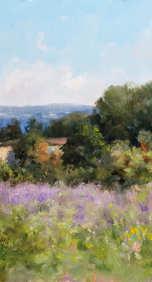 Lavande en Drôme provençale by Pascal Giroud