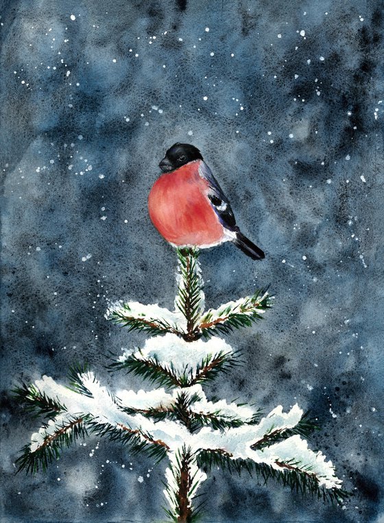 Winter Bullfinch on a Snowy Fir
