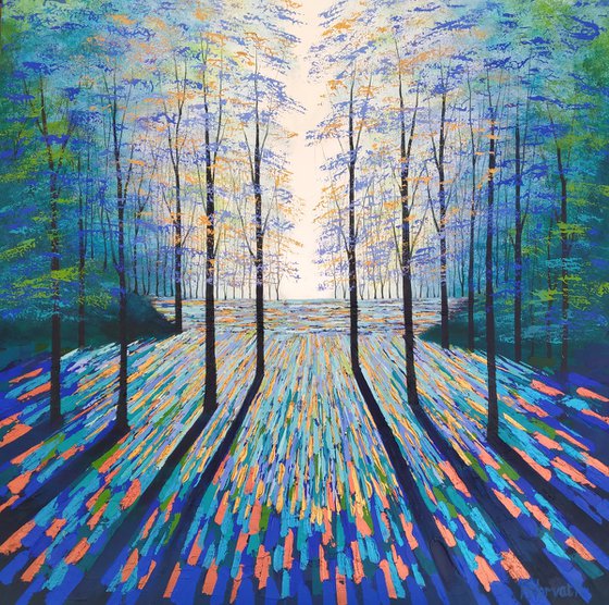 Beyond the Shimmering Forest