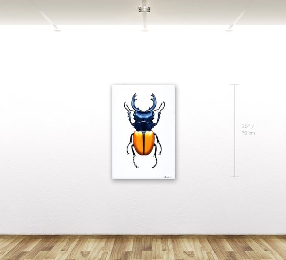Stag Beetle #1
