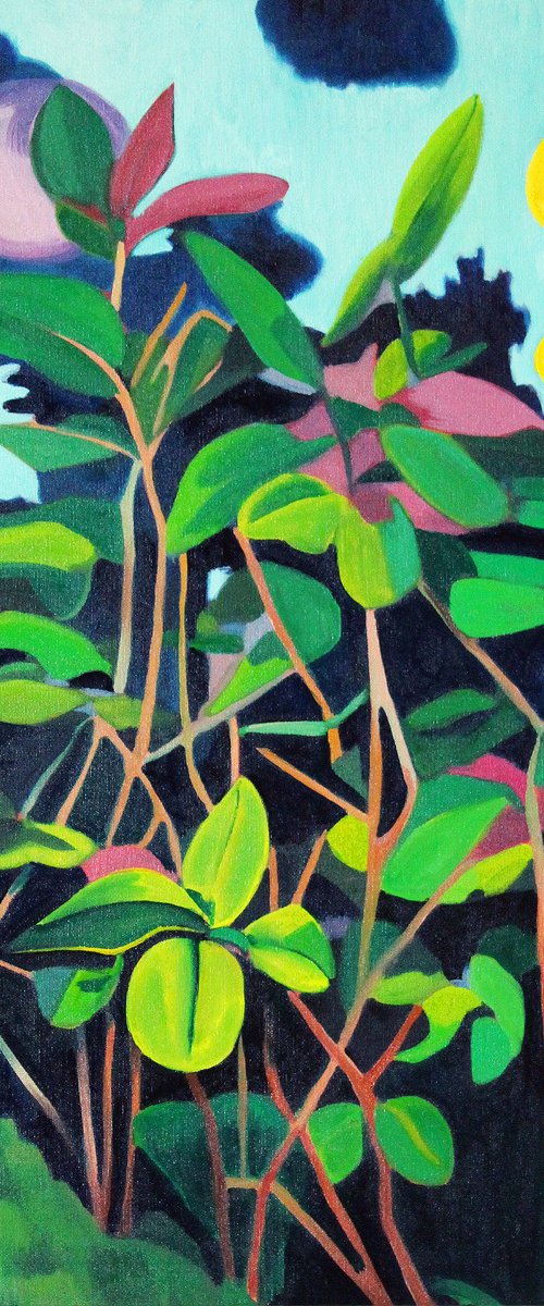 Oaxacan Sunrise by Ben Stephenson