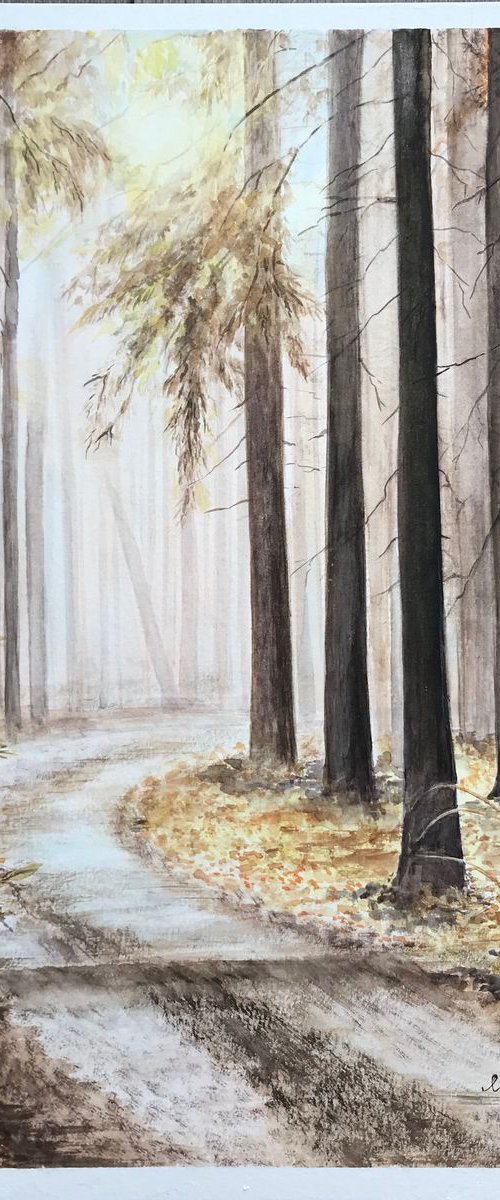 Through the pines by Irina Kozulina