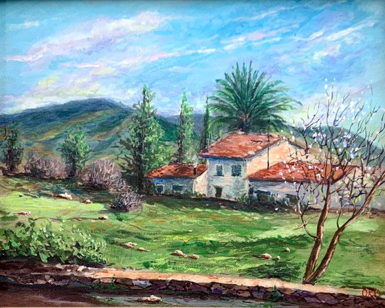 Village House with a Palm Tree