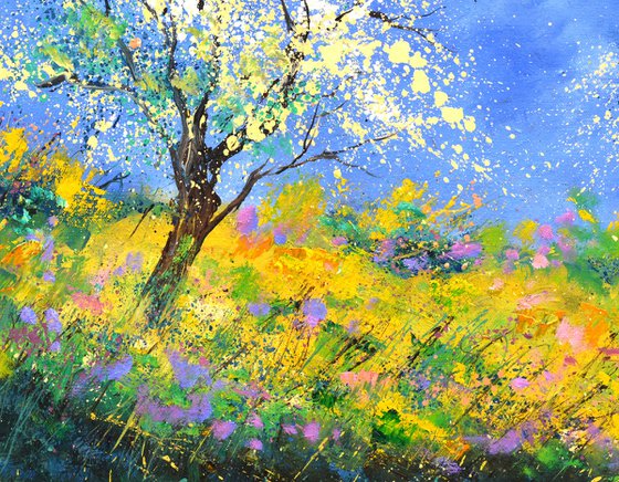 Spring in full bloom