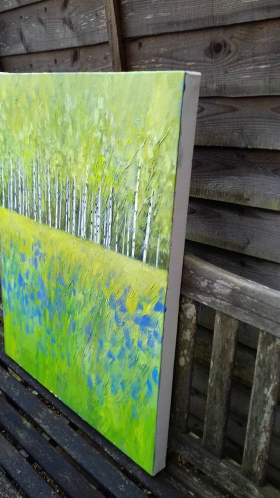 Silver Birch Trees III