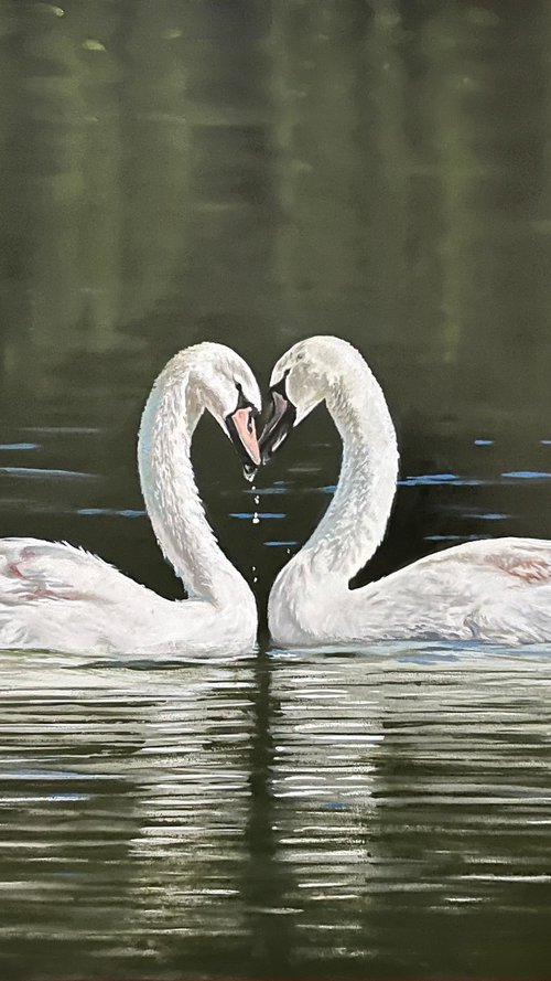 Graceful Swans in love by Angelo Di Carlo