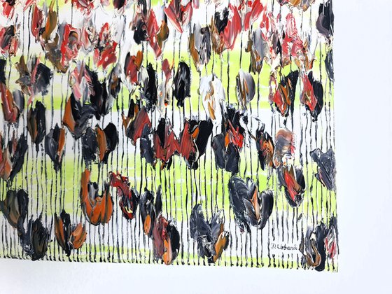 Poppy Flowers 2
