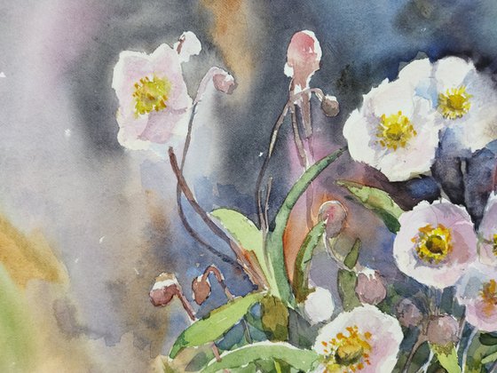 Anemones watercolor painting