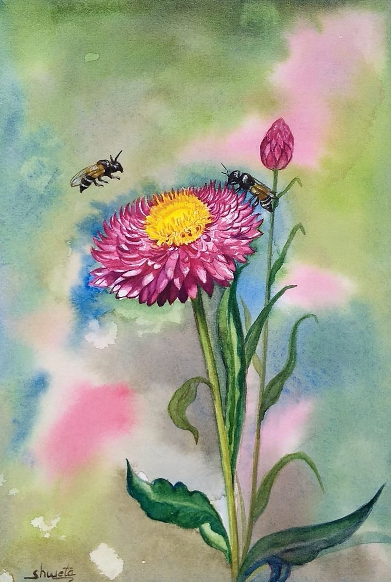 Straw Flower Watercolor Painting by Shweta Mahajan