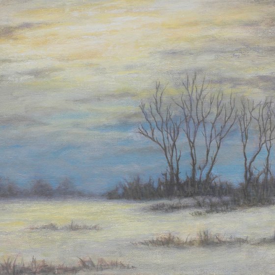 Winter Field