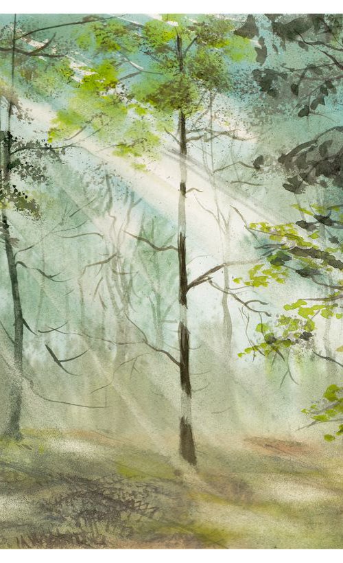 Forest morning magic by Yulia Schuster