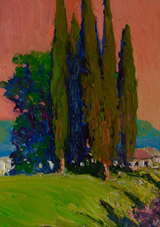 Cypresses. Evening