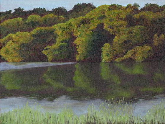 Weir Wood: Ashdown Forest Landscape