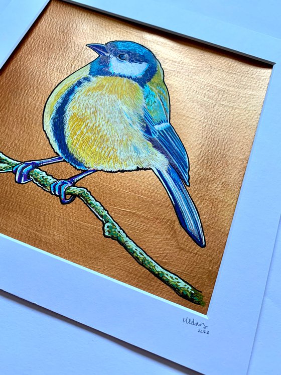 British Garden Birds series - Bluetit