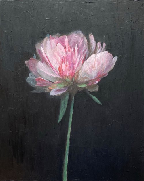 Pink flower by Bohdan Vykhrenko