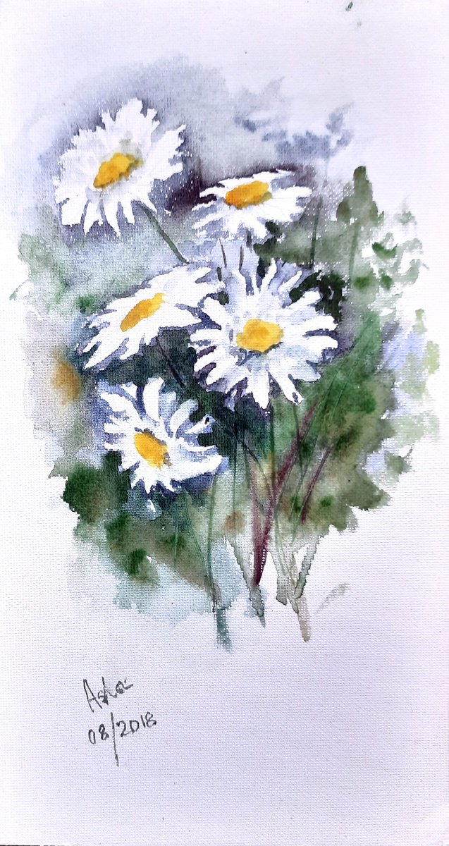 daisy watercolor painting