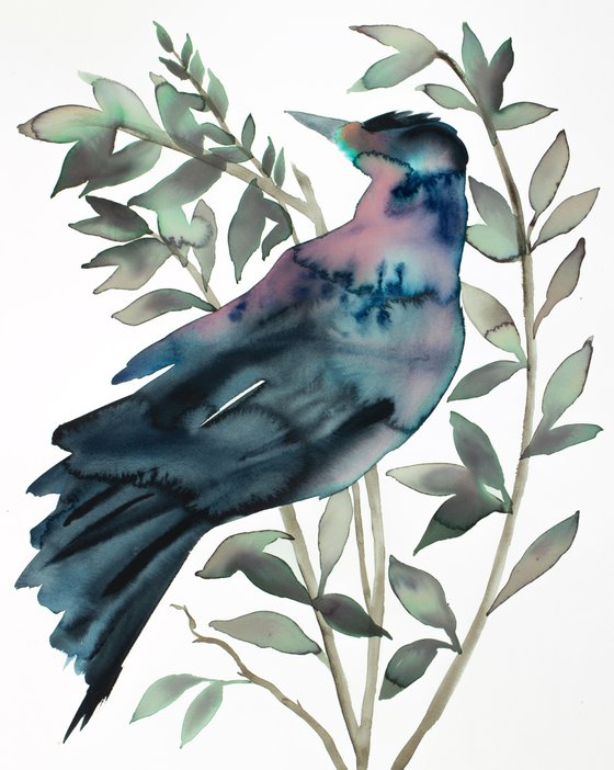 Grackle No. 3