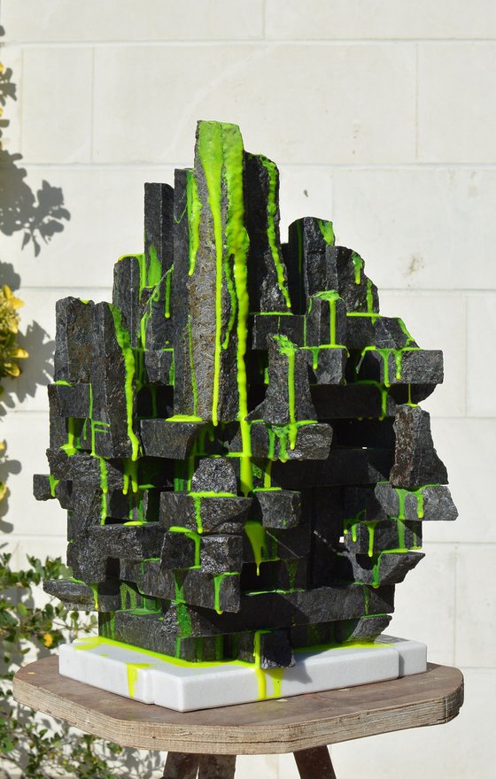 "Brazil Rainforests"