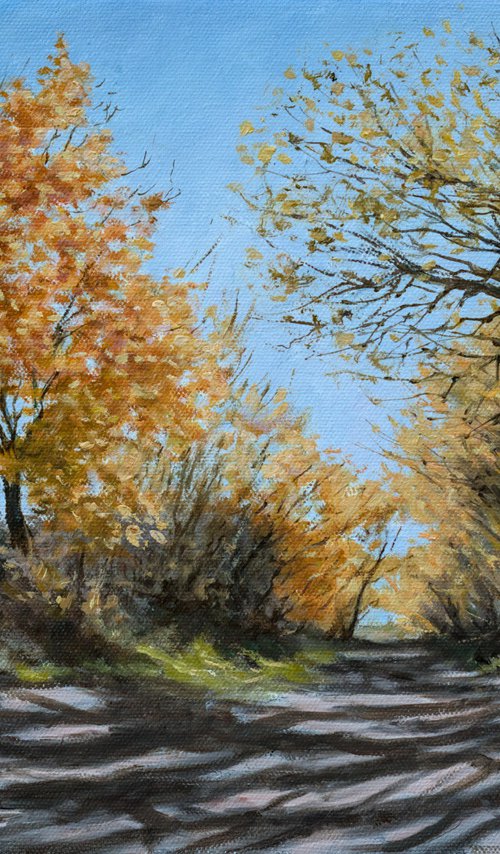 Autumn is here by Dejan Trajkovic
