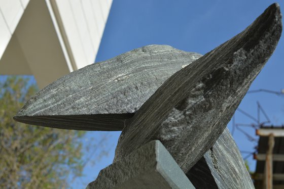 "Particular Insight"