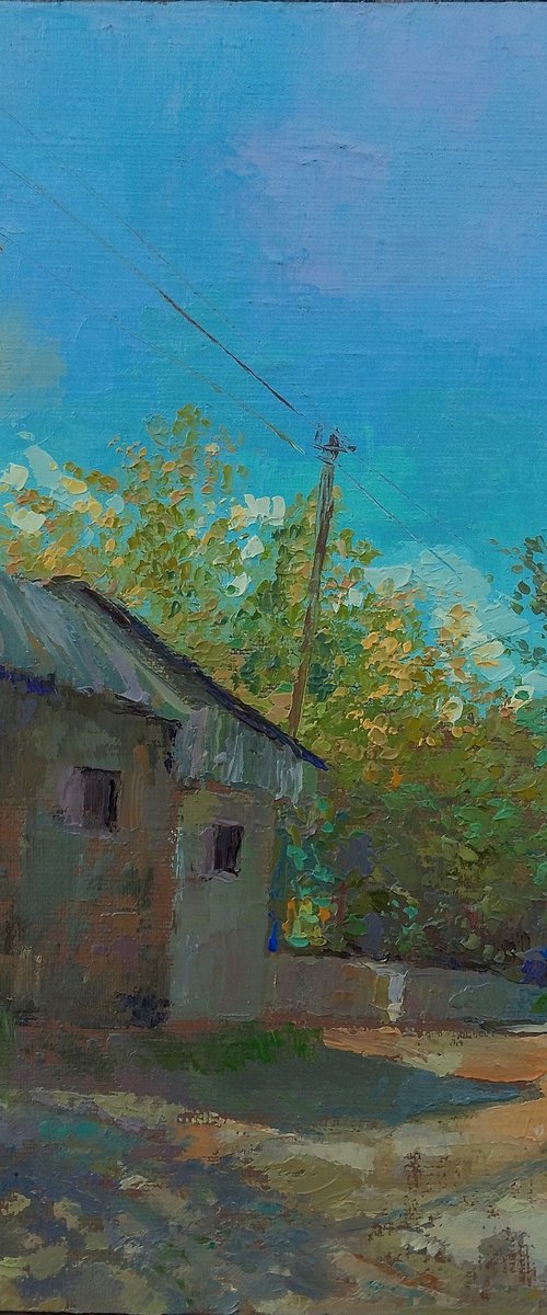 Sunlit Rural Path by Kamsar Ohanyan