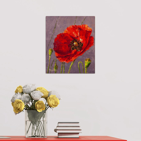 Red poppy