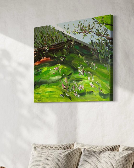 Where light takes root