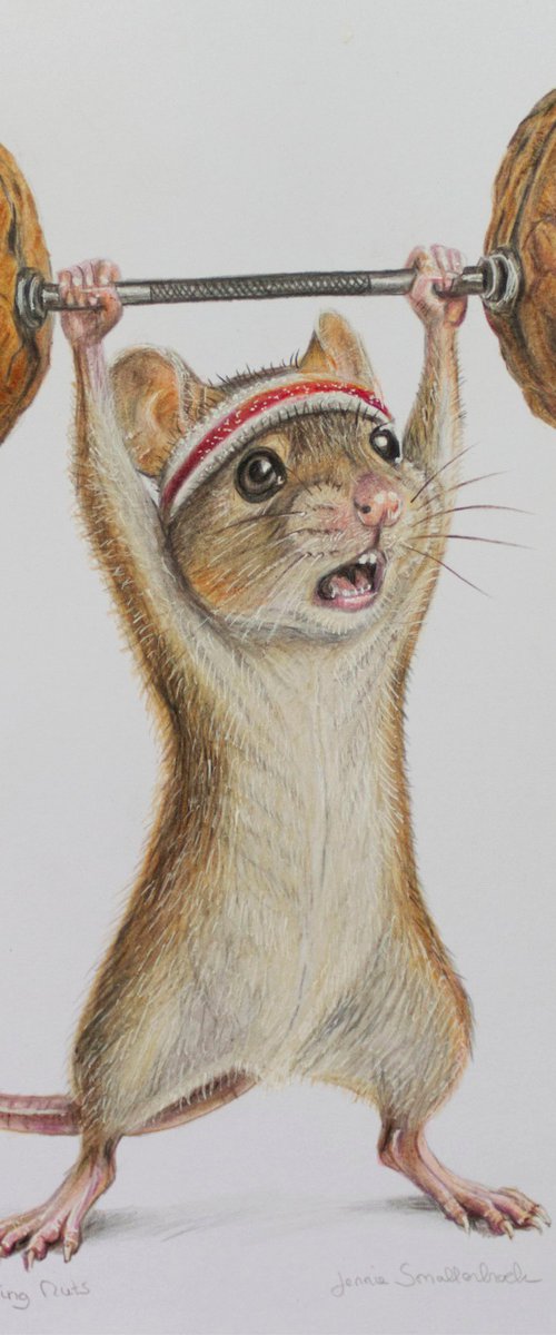 Going Nuts - Colored Pencil Drawing by Jennie Smallenbroek