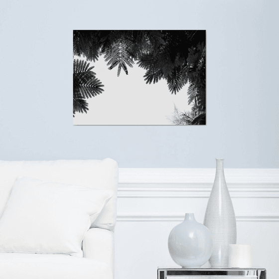 The Tree Top II | Limited Edition Fine Art Print 1 of 10 | 60 x 40 cm