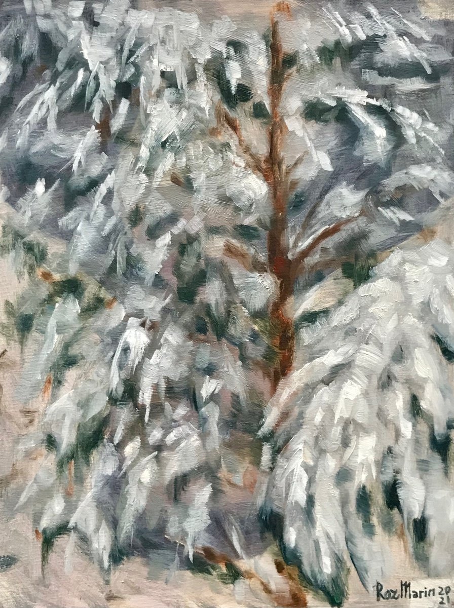 Expressive Oil Painting , Snow Spruce By Marina Deryagina, 12 X 16, Artwork For Sale On Artfinder