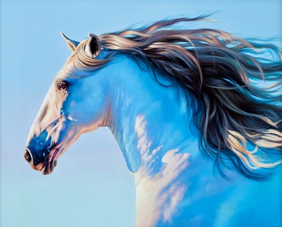 Freedom