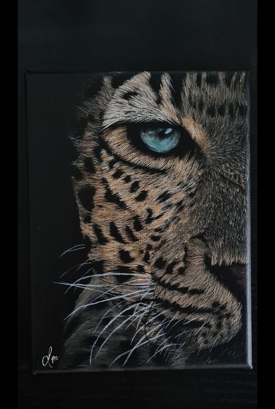Leopard eye