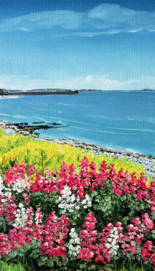 Valerian & Rapeseed to Castletown Bay - Isle of Man by Max Aitken