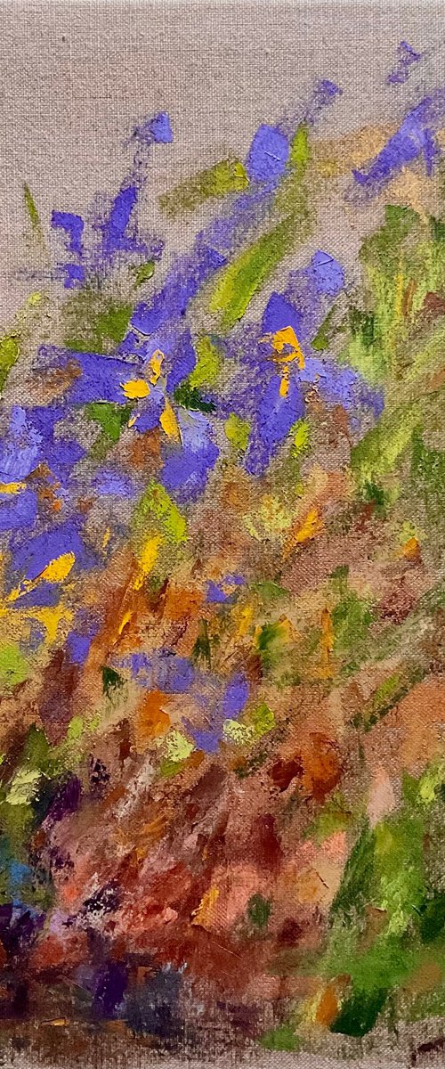 IRIS by Vera Klimova