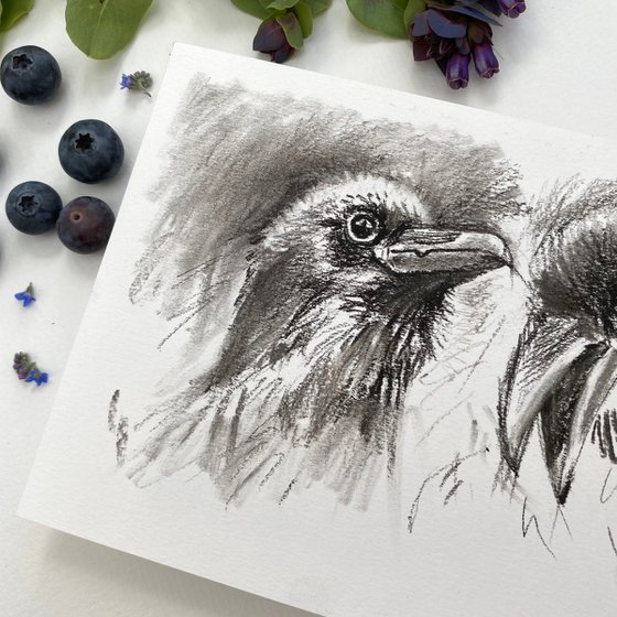 Charcoal Raven #03