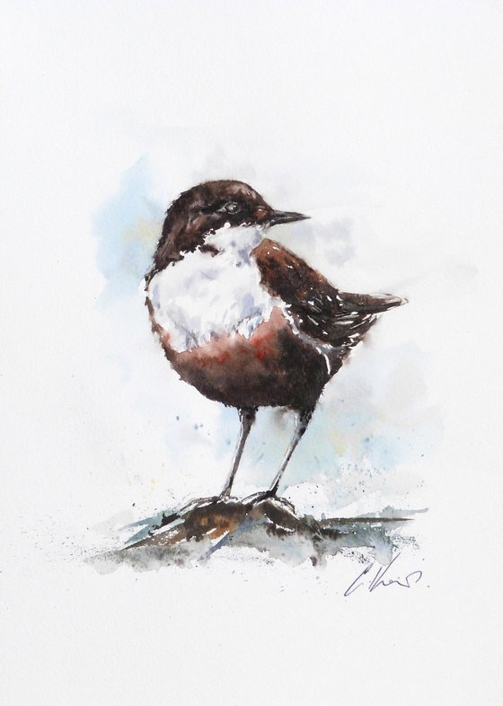 A Dipper.