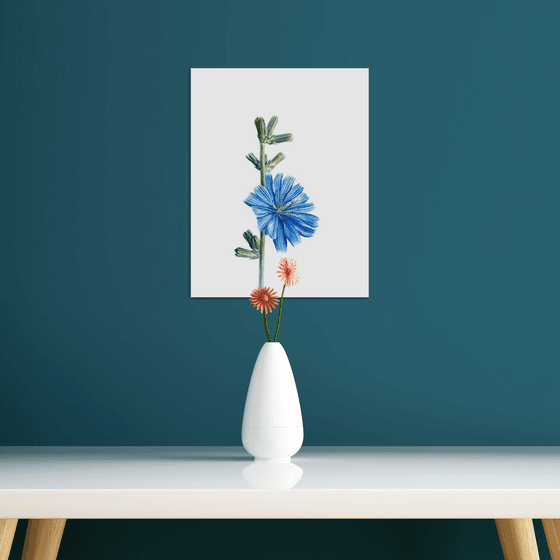 Wild Chicory Painting