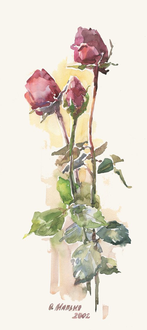 Three roses / ORIGINAL watercolor painting ~7.5x16,5in (19x42cm) by Olha Malko