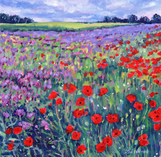 Poppy Flower Meadow