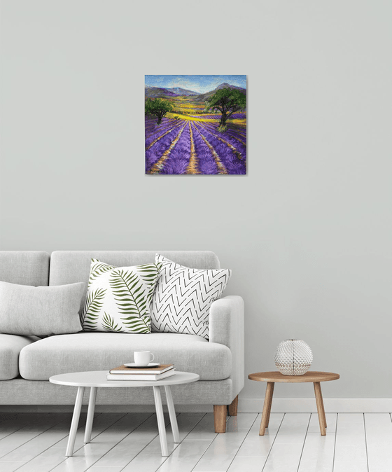 Lavender Fields