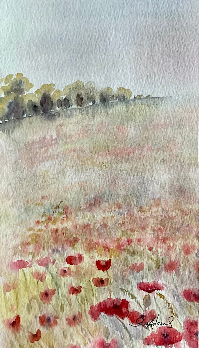 Mist through the poppies by Samantha Adams