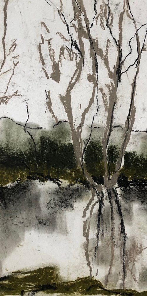Birch Reflections by Joanna Farrow
